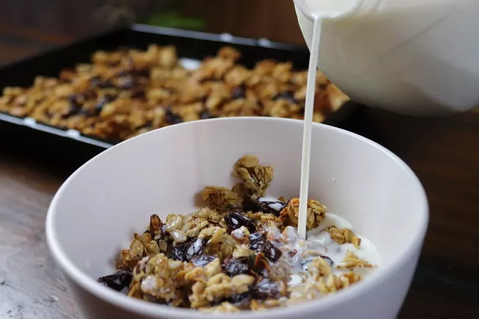 Healthy Homemade Granola Recipe Really Sugar Free