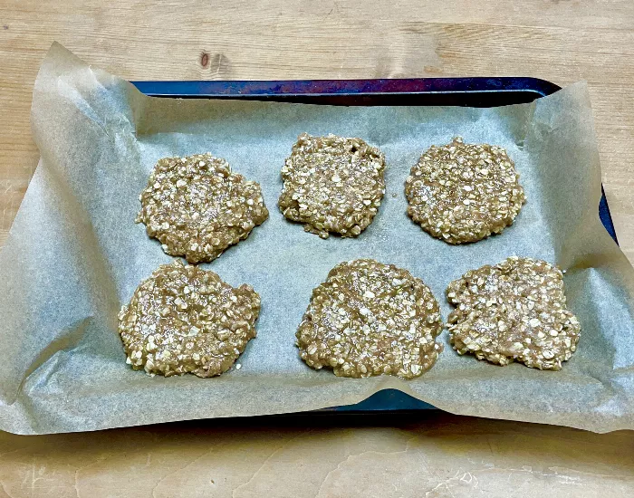 homemade sugar free oatmeal cookies