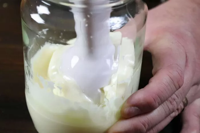 Sugar Free Mayonnaise Recipe