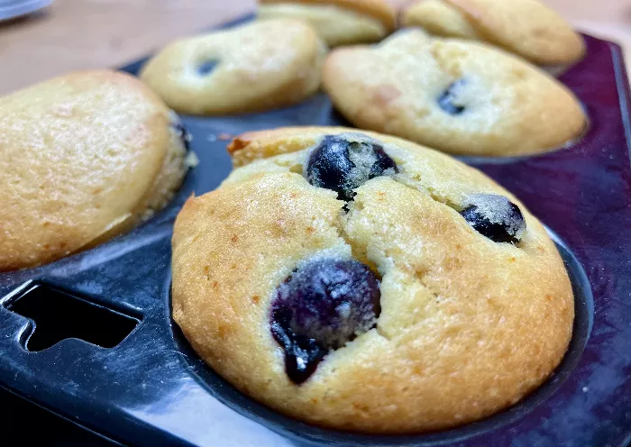 sugar free blueberry muffins recipe