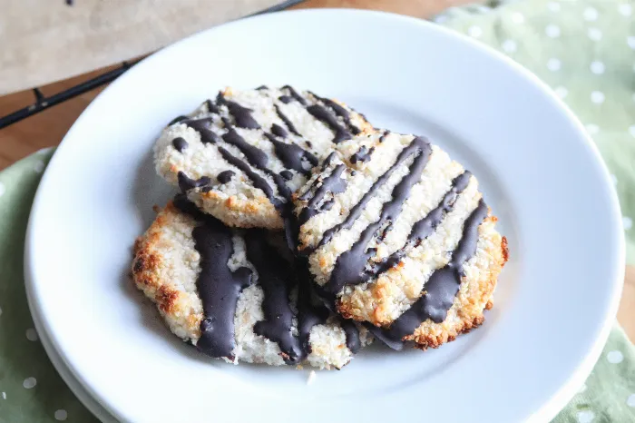 Sugar Free Dairy Free Gluten Free Coconut Cookies Recipe