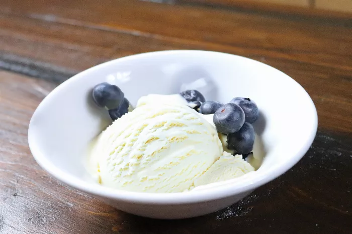 Sugar Free Vanilla Ice Cream Recipe
